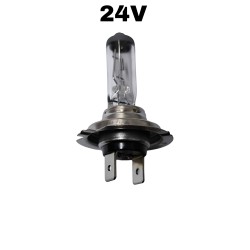 H7 24V 70W AMPUL