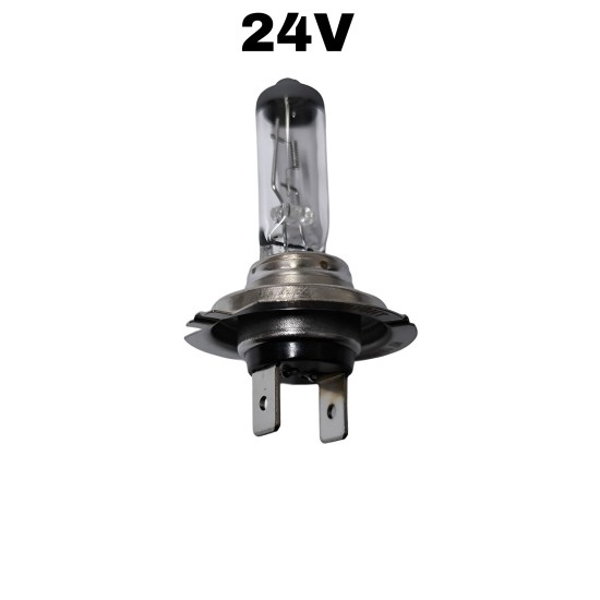 H7 24V 70W AMPUL