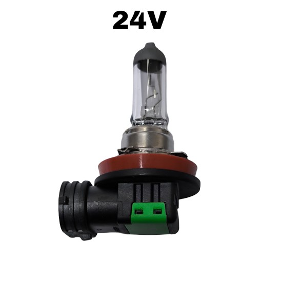 H11 24V 70W AMPUL