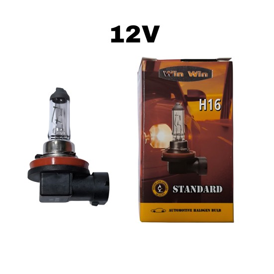 H16 12V 19W AMPUL