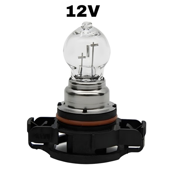 12V 19W AMPUL PG20 1  PS19W