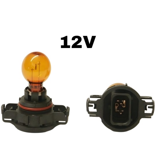 12V 19W AMPUL PG20 2 PSY19W