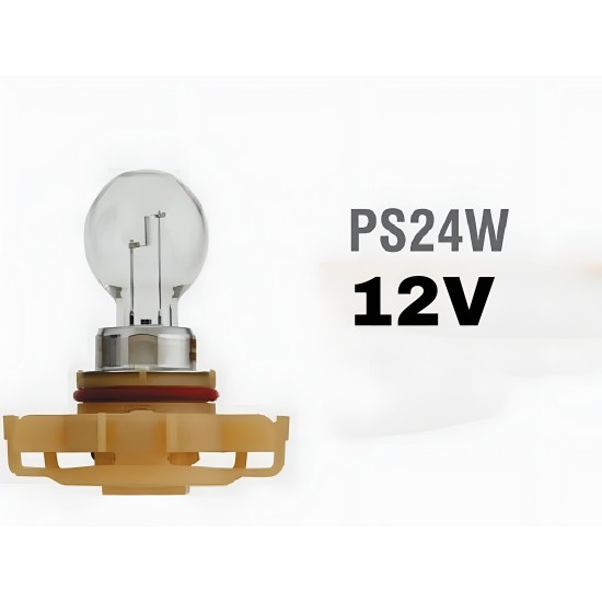 12V 24W PG20 3 PS24W