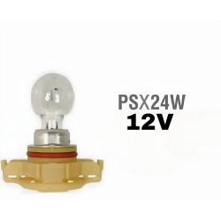 12V 24W GUNDUZ SURUS AMPULU PEUGEOT CITROEN PG20 7 PSX24W