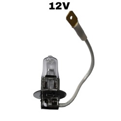 H3 12V 55W AMPUL
